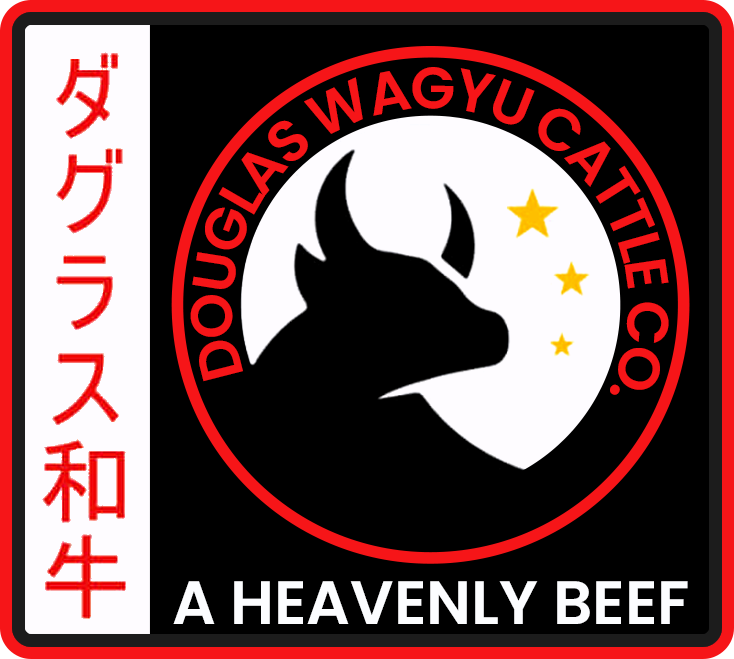 Douglas Wagyu Cattle Co. A heavenly Beef. Based in Southwest Missouri.